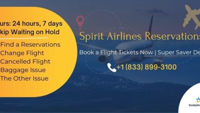 Spirit Airlines Reservations