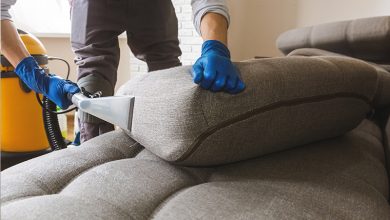 Sofa Cleaning in NYC