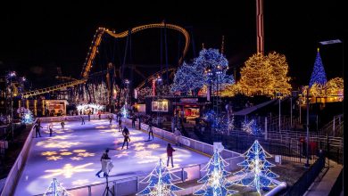 Best Holiday Destinations to Visit in Charlotte