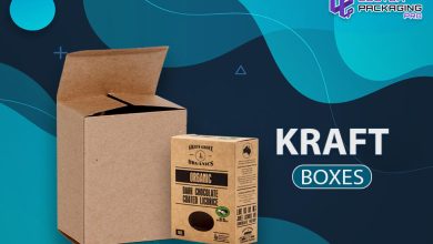 Kraft Boxes