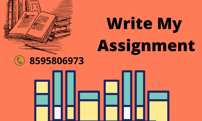 write my assignment