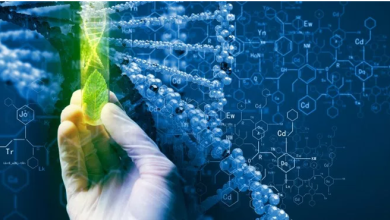 Biotechnology-Assignment-help