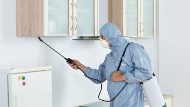 Pest Control In The Home