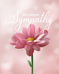 Sympathy cards