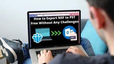 export NSF to PST free