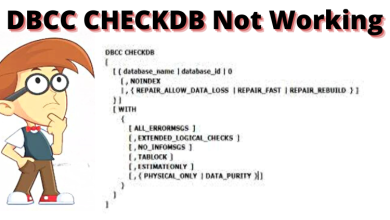 dbcc checkdb not working