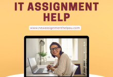 IT Assignment Help