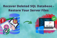 recover deleted SQL database