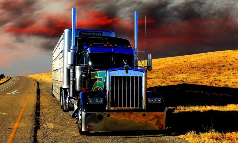 Truck Driver Shortage_Problems_Causes_Solutions