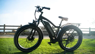 Electric Bike